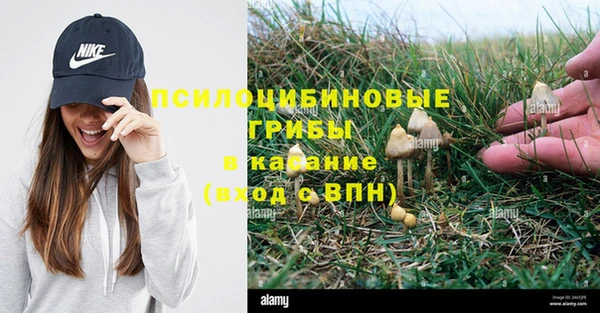 сатива Балабаново