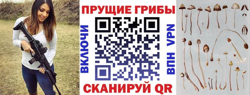 дарнет шоп  Калининец  Псилоцибиновые грибы Magic Shrooms 